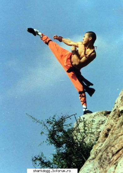 = Arte Marţiale = - Wu-Shu Related ;) - Sport