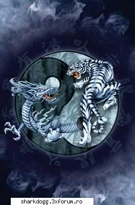 wu shu related ;) ;) = arte =