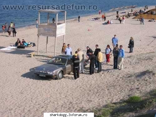 Inteligenta excesiva (fabula in imagini) - si cum romania nu duce lipsa de asa ceva (da - Fotografie