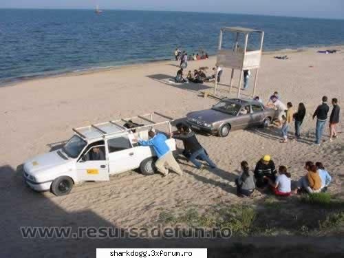 Inteligenta excesiva (fabula in imagini) - Devine din ce in ce mai interesant. Dacia a fost - Fotografie