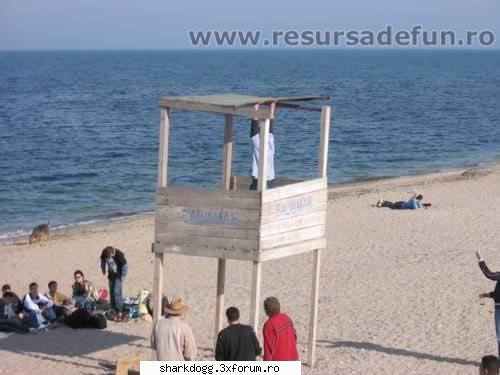 Inteligenta excesiva (fabula in imagini) - S-a gasit un indvid care fara sa stea pe ganduri - Fotografie