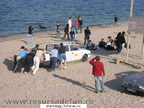 Inteligenta excesiva (fabula in imagini) - Un grup de oameni pasnici a fost "stramutat" de - Fotografie