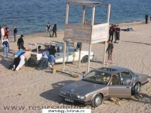 Inteligenta excesiva (fabula in imagini) - Intre timp Jaguarul a ramas singur cu motorul - Fotografie
