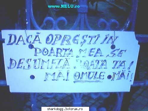 Poze Haioase !!! - Funny Rau De Tot !! - Hai, sa mori tu! - Fotografie