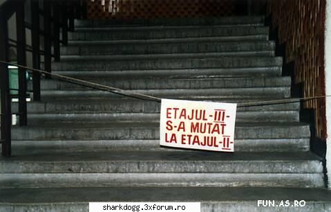 Poze Haioase !!! - Funny Rau De Tot !! - si parterul la etajul 4 - Fotografie