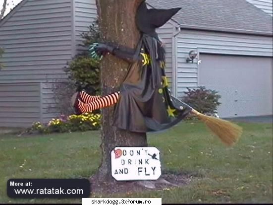 luati exemlu  =d :rotfl: poze haioase !!! - funny rau de tot !!